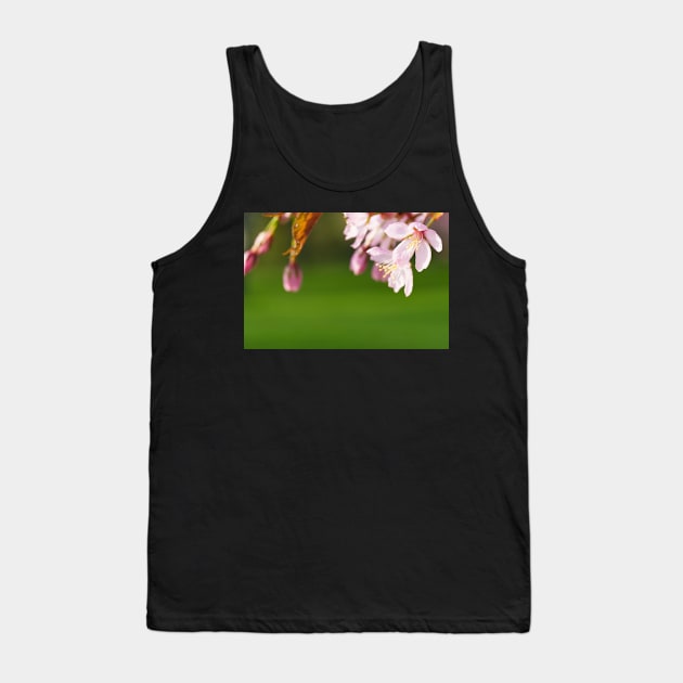 Cherry Bossom Tank Top by ansaharju